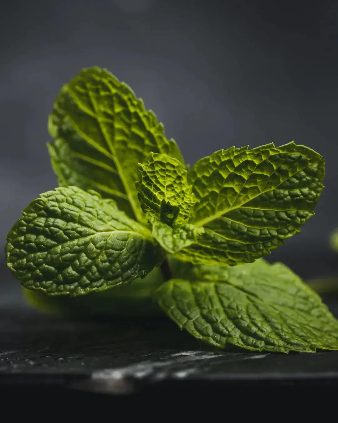 Mint Mintaïa by Eliquid France en format 50ml - Cosy Vape