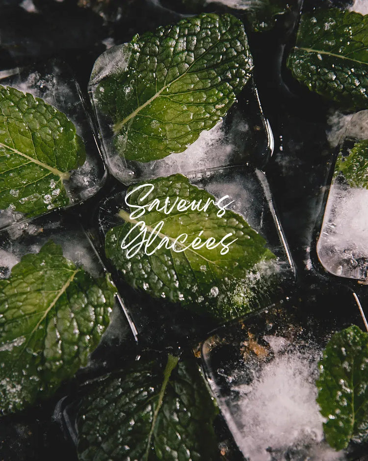 Saveurs Glacées - Cosy Vape