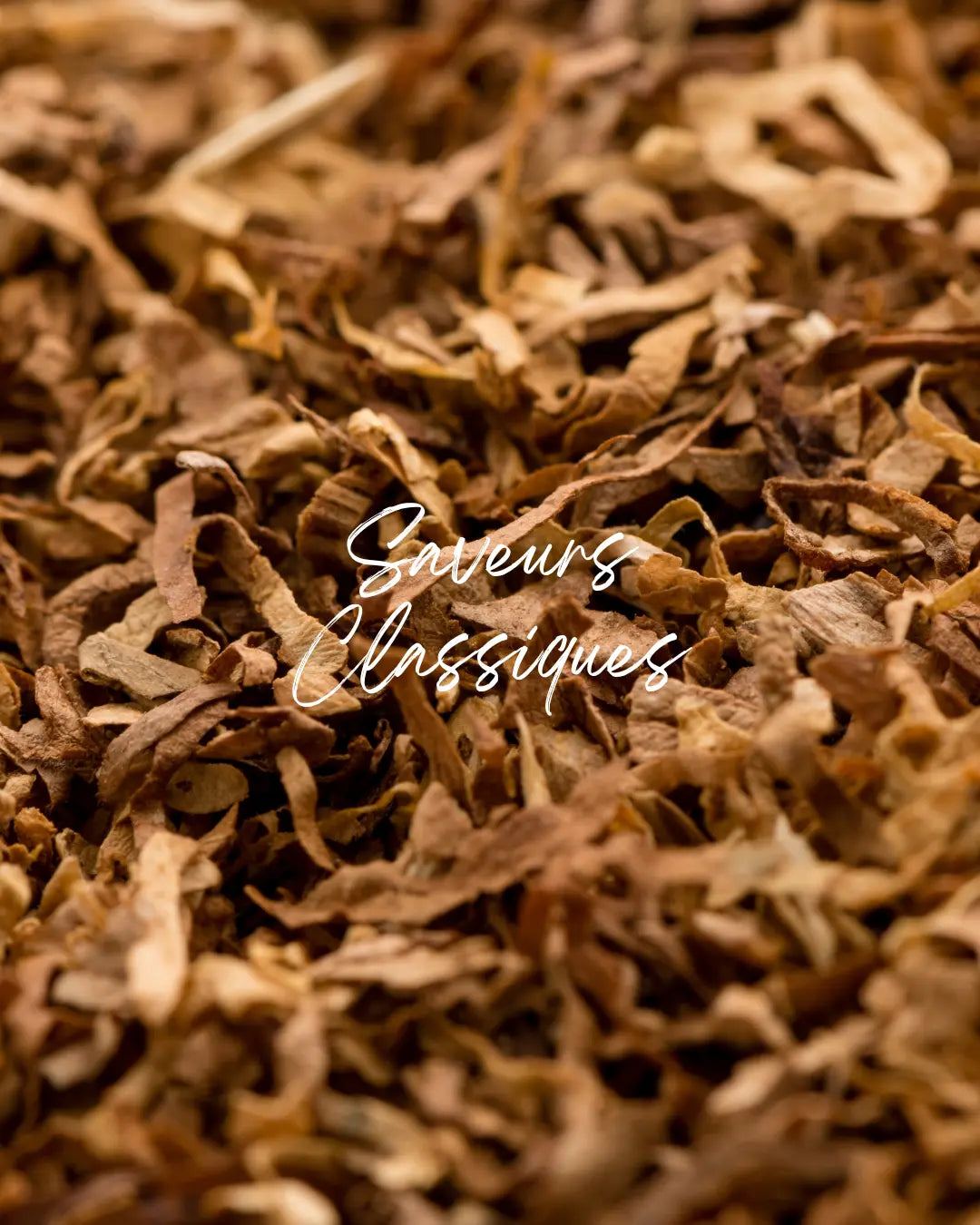 Saveurs-Classiques - Cosy Vape